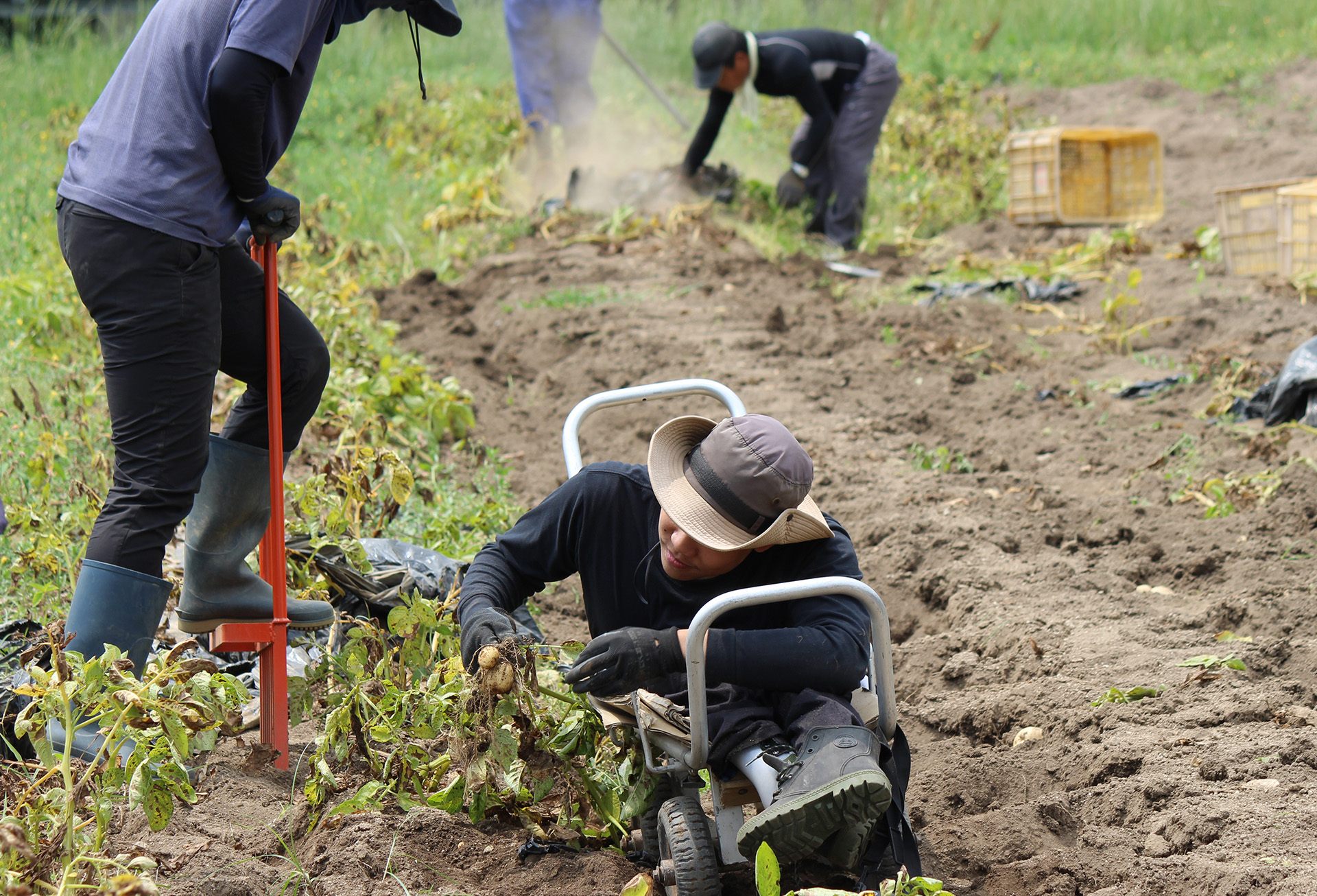 就労支援事業所あけぼの
